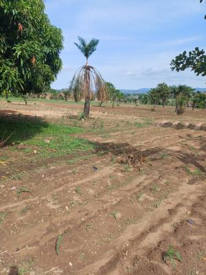 500sqm, Classic City Guzape Main, Guzape District, Abuja, Mixed-use Land for Sale