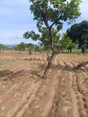 1000sqm, Classic City Guzape Main, Guzape District, Abuja, Mixed-use Land for Sale