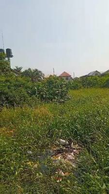 2plots of Vigin Land for 1,300sqms Facing 2 Roads, Off Mobil Road, Ilaje, Ajah, Lagos, Mixed-use Land for Sale