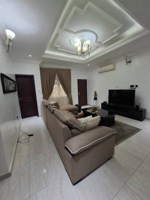 Furnished 3 Bedroom Apartment, Garki, Abuja, Flat / Apartment for Rent