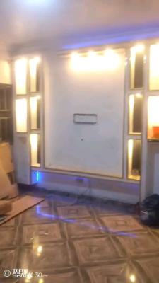 Standard and Executive Mini Flat, Ebute Metta East, Yaba, Lagos, Mini Flat (room and Parlour) for Rent
