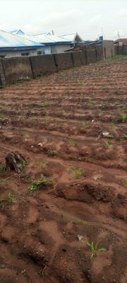 550sqm Estate Plot, Build and Live Now, Goshen Villa Estate, Off Airport Road, Lugbe District, Abuja, Residential Land for Sale
