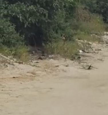 a Deal, South-west Ikoyi,, Ikoyi, Lagos, Mixed-use Land Joint Venture