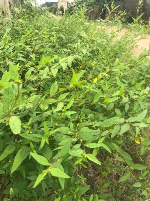 Full Plot of Land, Makun City, Mowe Ofada, Ogun, Residential Land for Sale