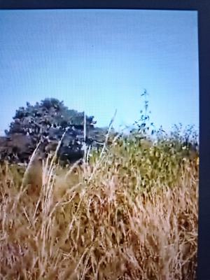 2.5 Hectares Comprehensive Development Land, Guzape Main, Guzape District, Abuja, Mixed-use Land for Sale