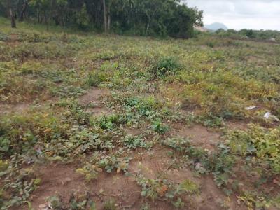 2.5 Hectares Comprehensive Development Land