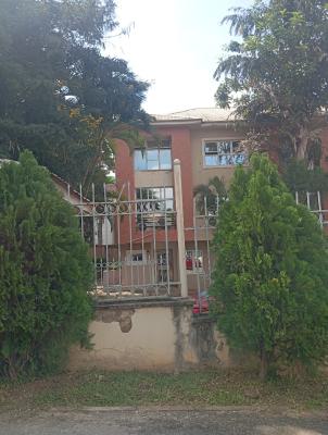 Well Finished 4 Bedroom Terrace Duplex with a Room Boys Quarters, Maitama District, Abuja, Terraced Duplex for Sale