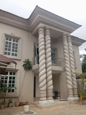 Well Finished 4 Bedroom Detached Duplex with 1 Bedroom Guest/2 Room Bq, Maitama District, Abuja, Detached Duplex for Rent