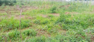 1.11 Hectares Commercial Land, By Next Cash & Carry, Katampe, Abuja, Commercial Land for Sale