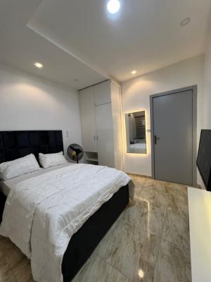 1bedroom for 8months Lease in Victoria Island, V.i, Victoria Island (vi), Lagos, Mini Flat (room and Parlour) for Rent