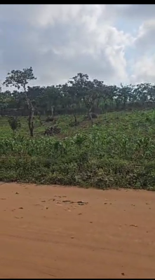 180sqm Terraced Duplex Plot, Opposite Post Army Housing Estate Phase 5, Kurudu, Abuja, Residential Land for Sale