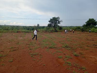Farm Land, Aroko Farms & Resort Ayetoro, Yewa North, Ogun, Industrial Land for Sale