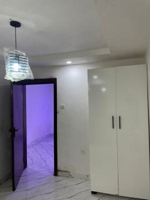 Check Out This Spacious One Bedroom -apartment Available for Inspectio, Oshogun, Alapere, Ketu, Lagos, Mini Flat (room and Parlour) for Rent