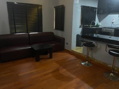 Double Delight Two Bedroom Apartment, Off Lake Chad Street, Maitama District, Abuja, Flat / Apartment Short Let