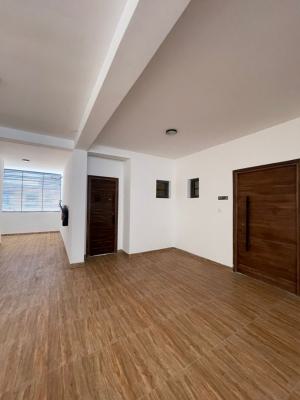 Luxury and Comfort Redefining for Corporate Clients Only, Ikate, Lekki, Lagos, Flat / Apartment for Rent