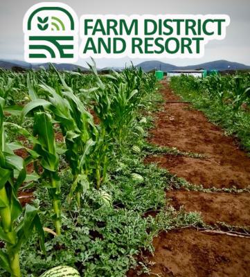 100% Dry Land with Instant Allocation for Farming, Farm Niche, Ikise Omu Odogbolu, Along Epe - Ijebu-ode Expressway, Ijebu East, Ogun, Land for Sale