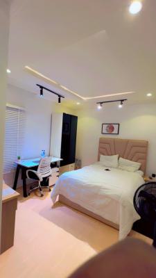 Furnished Cozy Studio Apartment, 810, Dahiru Musdafa Blvd, Wuye, Abuja, Flat / Apartment for Rent