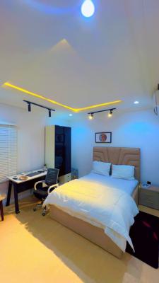 Furnished Cozy Studio Wuye 6 Months, 810, Dahiru Musdafa Blvd, Wuye, Abuja, Flat / Apartment for Rent