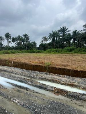 Gated and Affordable Land, Golden Palace Residences, Uyo, Akwa Ibom, Residential Land for Sale
