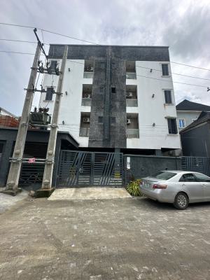 Fully Furnished 2 Bedroom Apartment, Ologolo, Lekki, Lagos, Flat / Apartment for Rent
