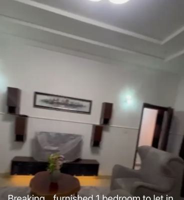 a Furnished One Bedroom Flat, Garki, Abuja, Mini Flat (room and Parlour) for Rent