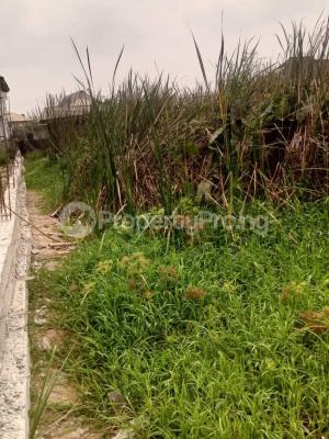 Land, Badore, Ajah, Lagos, Mixed-use Land for Rent