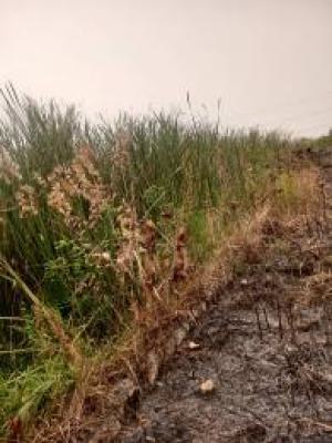 One Plot of Land, Badore, Ajah, Lagos, Mixed-use Land for Sale