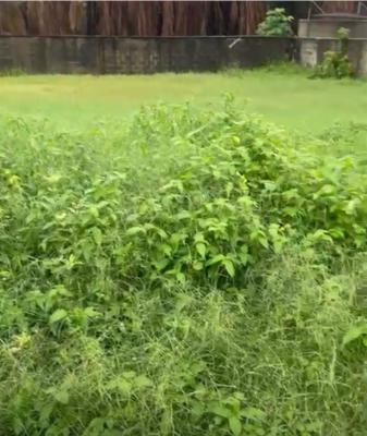 680sqm Land at Crown Estate Along Lekki Epe Expressway After Shoprite, Sangotedo, Ajah, Lagos, Residential Land for Sale