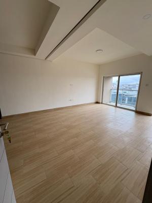 Luxury 2 Bedroom, Ikate Elegushi Lagos, Ikate Elegushi, Lekki, Lagos, Flat / Apartment for Rent