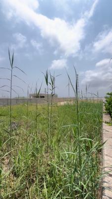 Non-water Front 1000sqm Dried Land, Banana Island, Ikoyi, Lagos, Residential Land for Sale