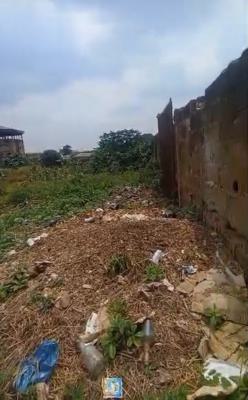 Landed Property, Akobo Road, Ibadan, Oyo, Mixed-use Land for Sale