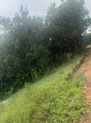 Commercial Plot, Along Sunnyvale Road, Kabusa, Abuja, Commercial Land for Sale