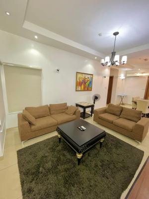 Massive 5 Bedroom, Asokoro District, Abuja, Semi-detached Duplex Short Let