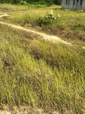 Land 800sqm, Ikate, Lekki, Lagos, Land for Sale