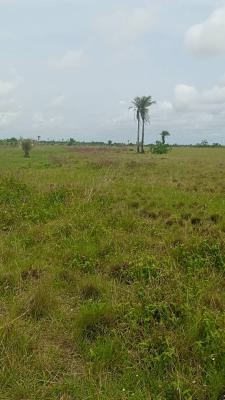 1,200sqm (2 Plots of Land), Emerald Garden City, Ibeju Lekki, Lagos, Residential Land for Sale
