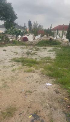 1500sqm Residential Land, Asokoro District, Abuja, Residential Land for Sale