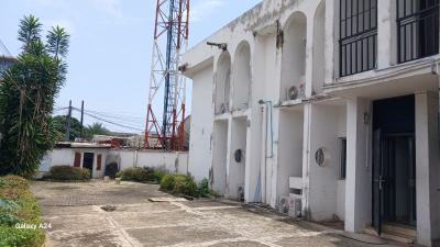 5-bedroom Detached  House with Bq, Off Ligali Ayorinde, Victoria Island (vi), Lagos, Commercial Property for Rent