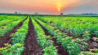 Farmland Within an Agribusiness Hub, Iseyin Okeho Road, Iseyin, Oyo, Land for Sale