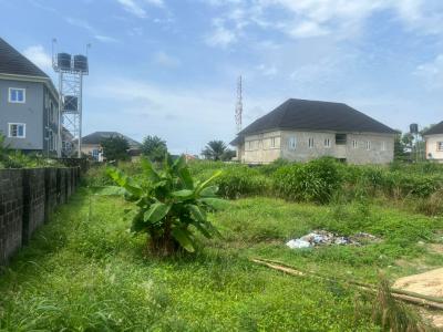 Fenced Land Measuring 1200sqm (2plots), Ogunfayo Area, Eputu, Ibeju Lekki, Lagos, Commercial Land for Rent