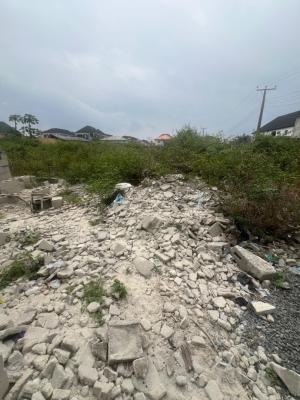 Fenced and Gated Commercial Land Measuring 2050sqm, Abijo, Lekki Epe Expressway, Sangotedo, Ajah, Lagos, Commercial Land for Rent