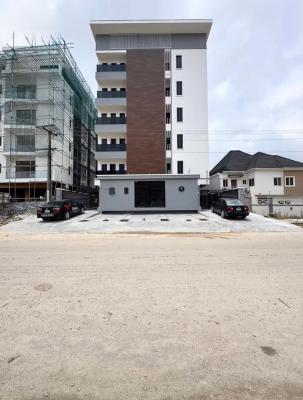 2 Bedrooms Apartment with Elevator, Ikate, Lekki, Lagos, Flat / Apartment for Sale