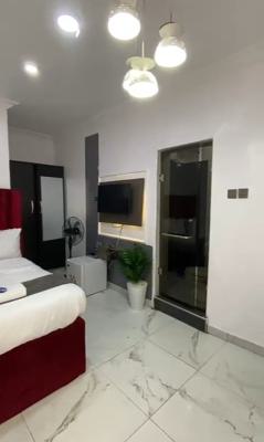 Fully Furnished Studio Apartment  ( Video Available), Off Admiralty Way, Lekki Phase 1, Lekki, Lagos, Self Contain (single Rooms) for Rent