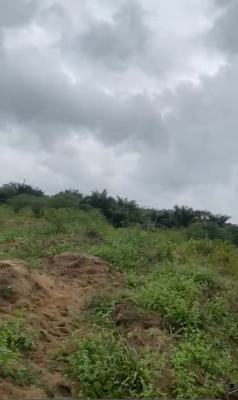 Investors Delight; Comercial Plots Close to Proposed Lekki-epe Airport, Lekki-epe Road, Lekki Free Trade Zone, Lekki, Lagos, Mixed-use Land for Sale