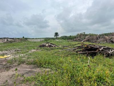Land with Govt. Allocation / C of O, The Island Meadows Located at Iberokodo Scheme, Opp. Pan Atlantic Univ, Ibeju Lekki, Lagos, Residential Land for Sale