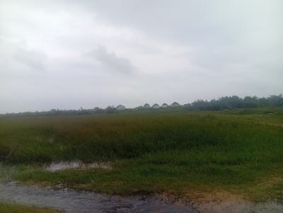 150 Plots of Land, Eluju Town., Eleko, Ibeju Lekki, Lagos, Mixed-use Land for Sale