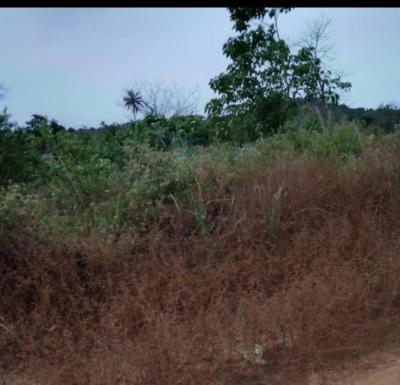 Strategic 3000 Sqm Plot, Allen, Ikeja, Lagos, Residential Land for Sale