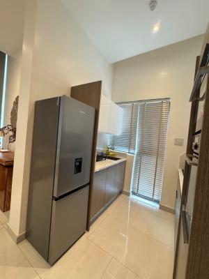 Luxury Furnished Mini Flat, Ikoyi, Lagos, Mini Flat (room and Parlour) for Rent