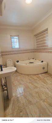 Master Bedroom Shared Apartment in Chevy View Estate, Chevy View Estate, Lekki, Lagos, Self Contain (single Rooms) for Rent