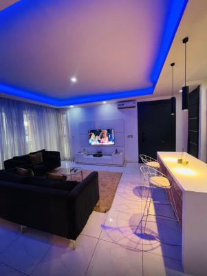 Affordable Furnished and Serviced 2 Bedroom Apartment, Freedom Way Off Ikate Lekki Lagos, Lekki, Lagos, Flat / Apartment for Sale