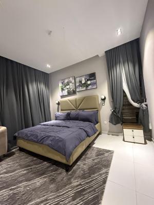 Luxury Furnished 2 Bedroom Apartment with Swimming Pool and Gym, Ologolo, Ologolo, Lekki, Lagos, Flat / Apartment for Sale